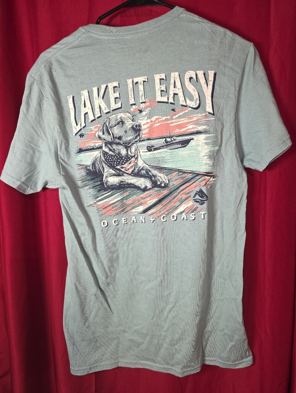 Lake It Easy Ocean + Coast Graphic Tee - Seafoam Green